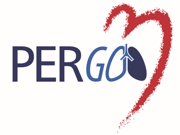 Logo PERGO